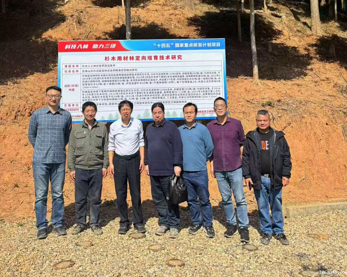 项目试验示范林参观