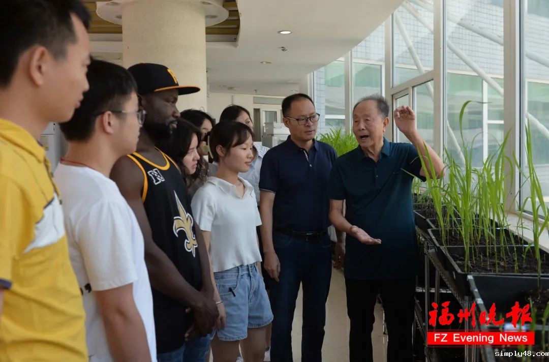 陈如凯：专注甘蔗甜蜜事业60年